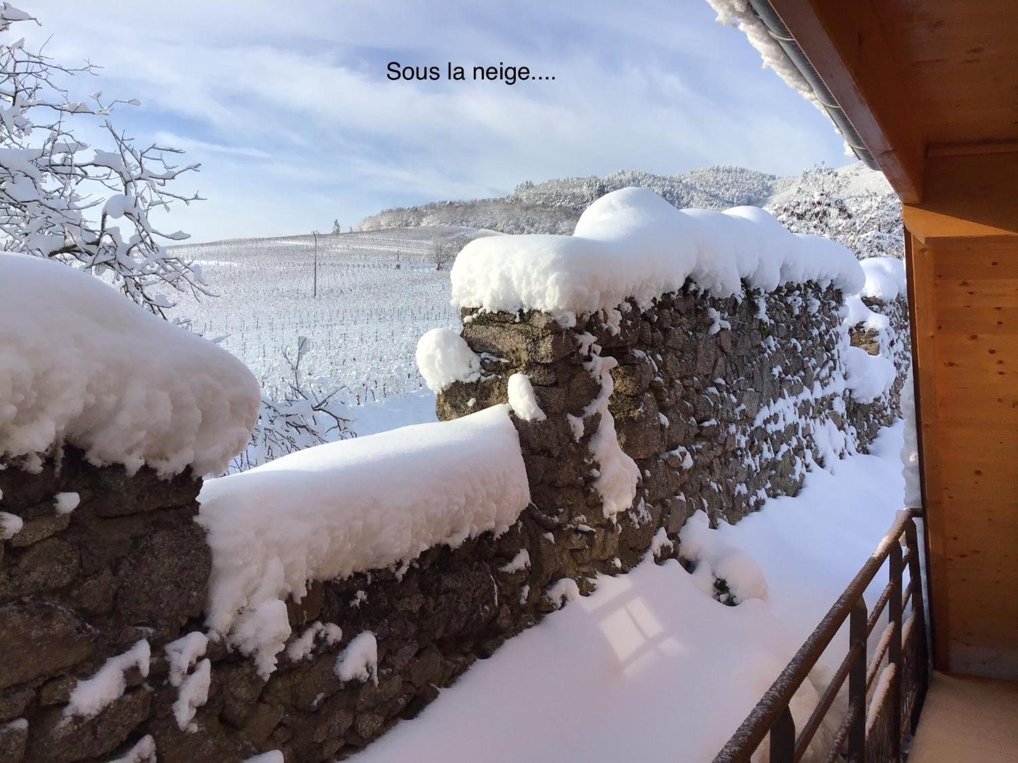 מלון Dambach Le Refuge Du Rempart חדר תמונה