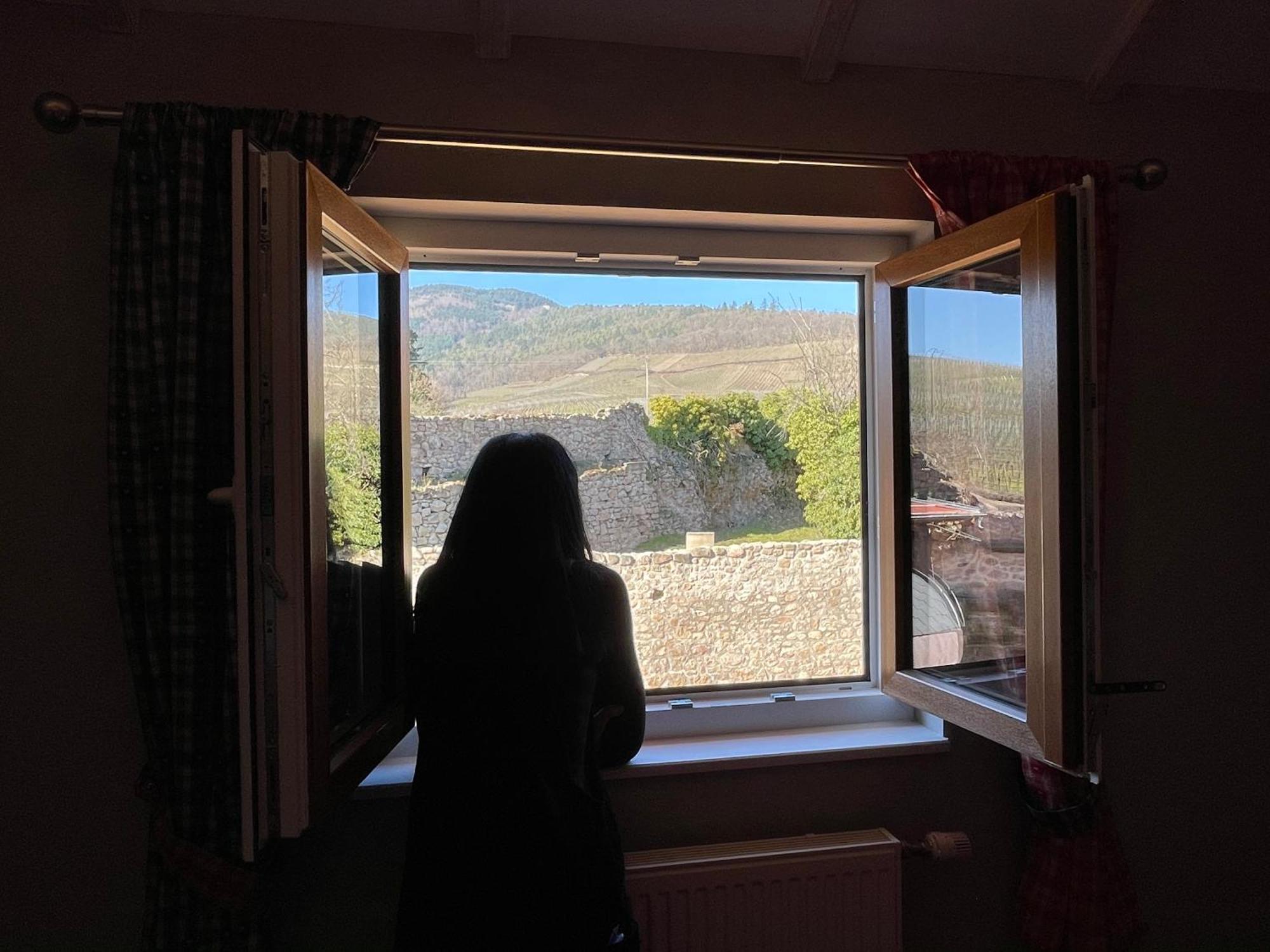 מלון Dambach Le Refuge Du Rempart חדר תמונה